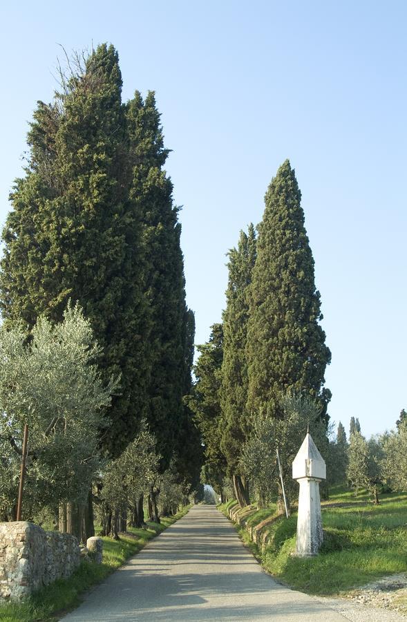 Bed and Breakfast Tenuta Di Capezzana à Seano Extérieur photo